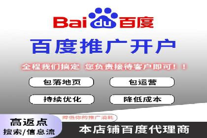 不同预算下的百度推广：案例分析与费用解析
